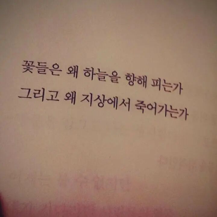 1030.의 에 스 파