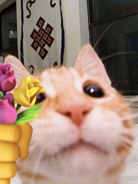 어라? 대표 이미지