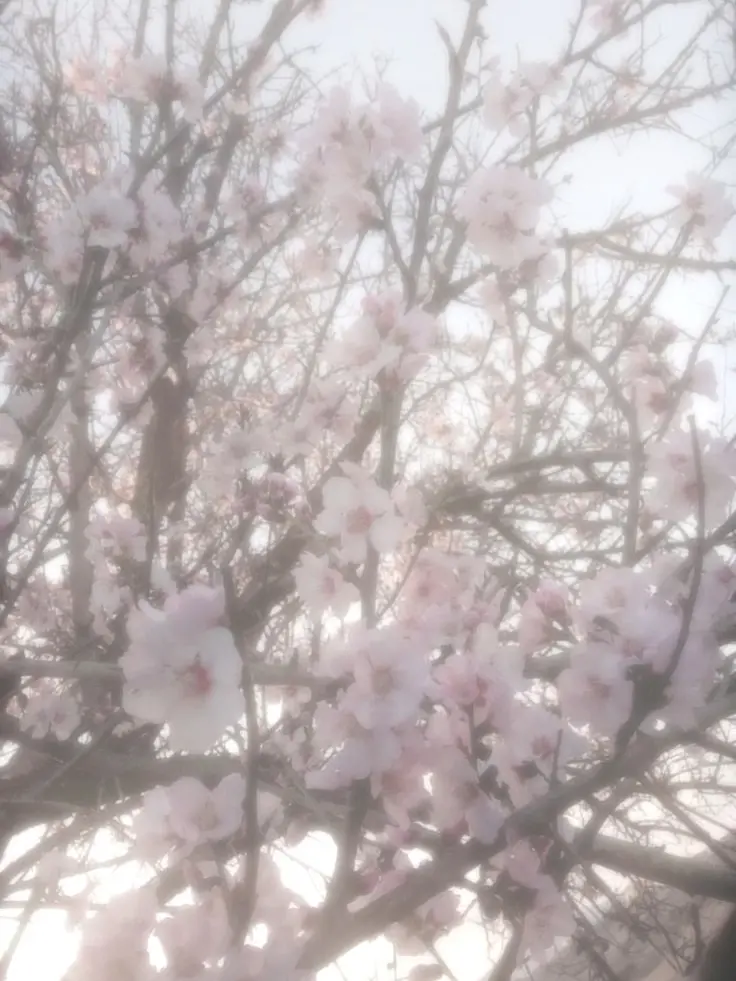 y.si_a12의 BRAIN