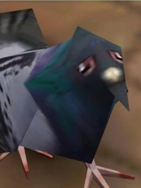 PrettyCar1031의 비둘기