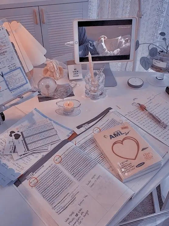 LithehanelO_.7의 학원쌤🐶🦖