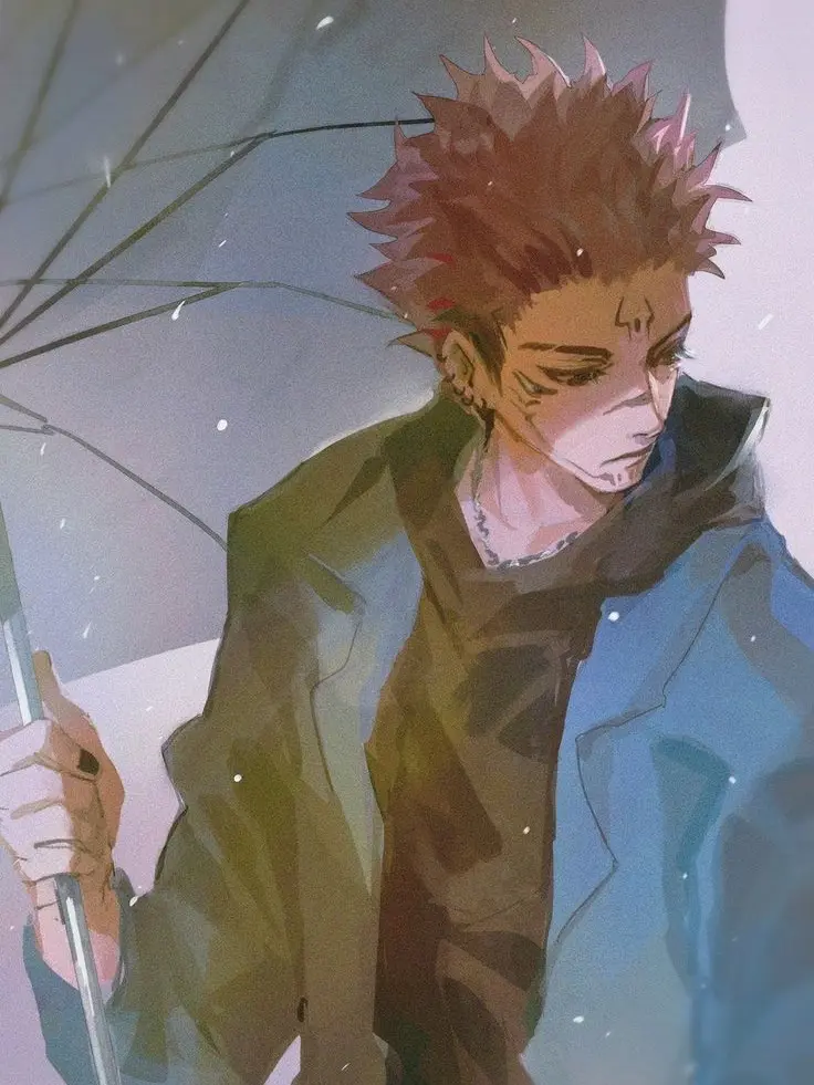 FairBatch5648의 료멘 스쿠나