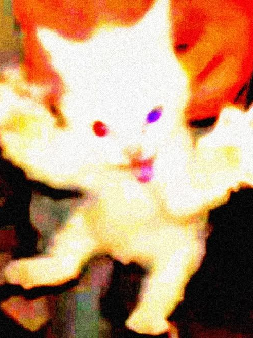 . 대표 이미지
