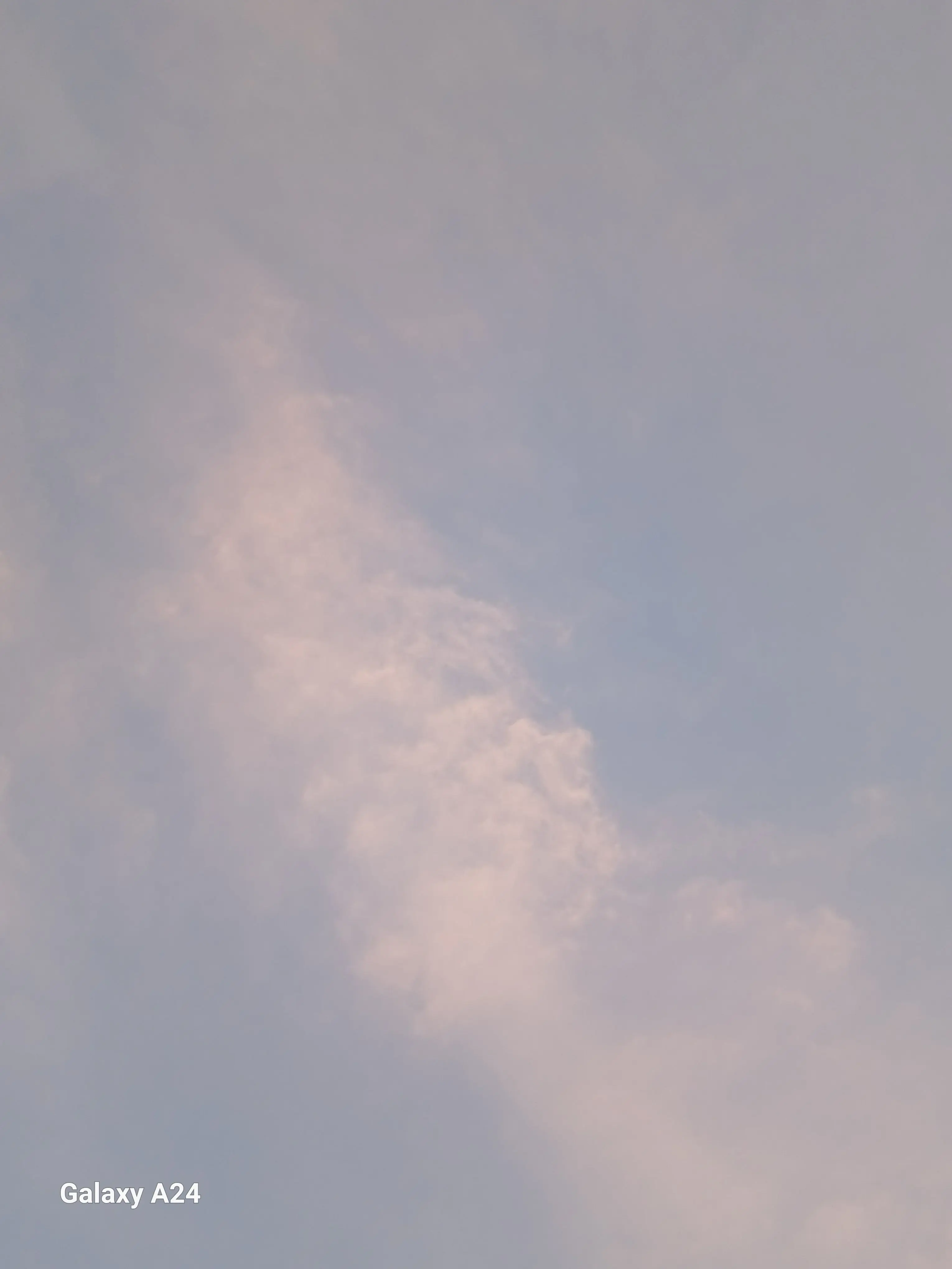 Horse_or_Pig의 그친구가 너 받아줄꺼래.