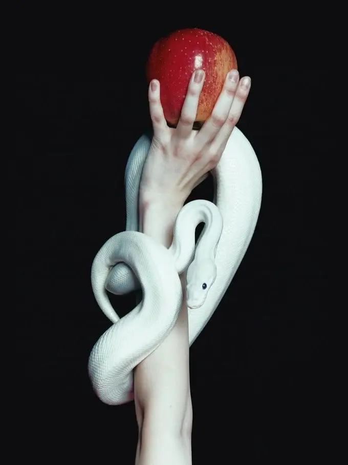 SassyComic8795의 각별