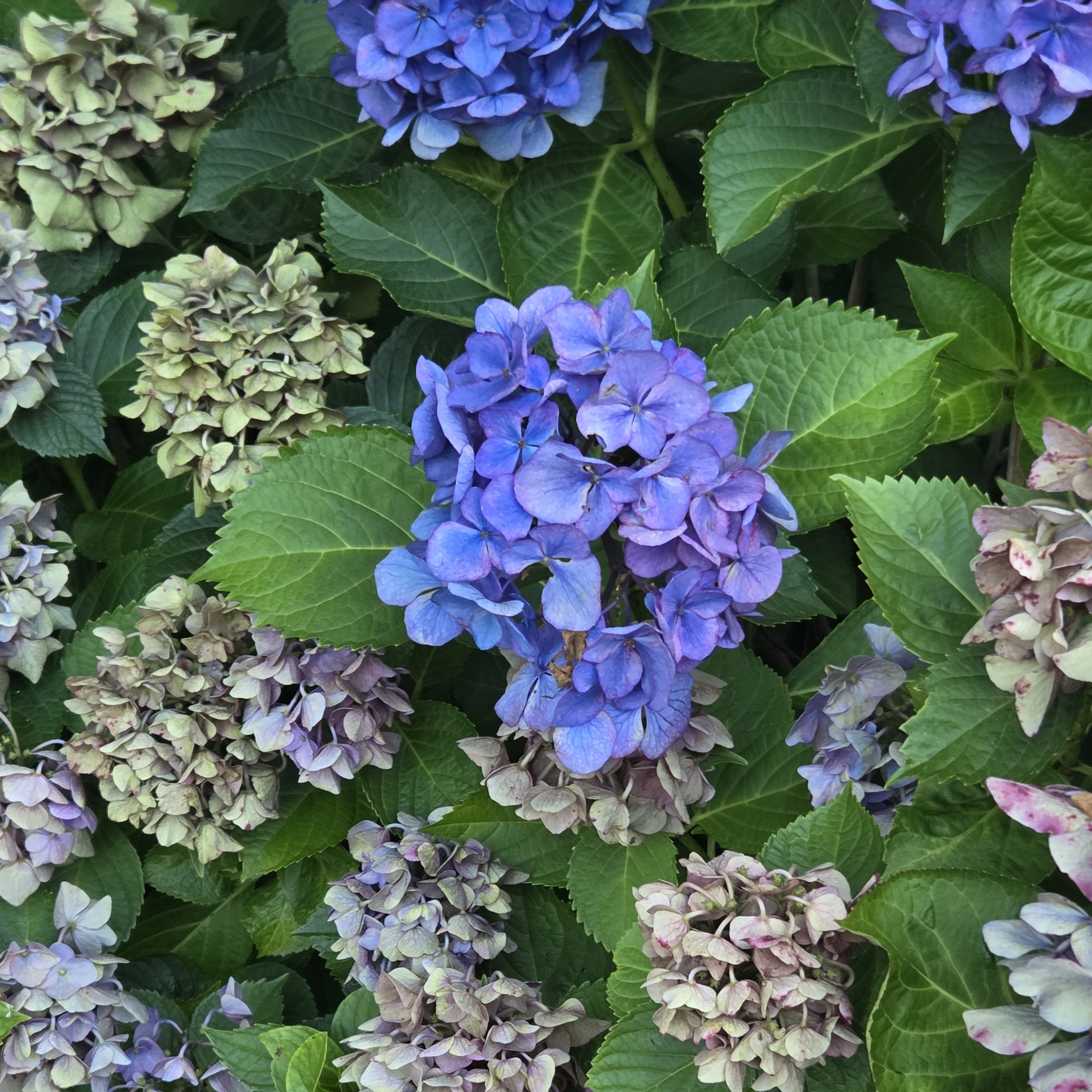 쫌만이변댜에요(신고는ㄴㄴ)
