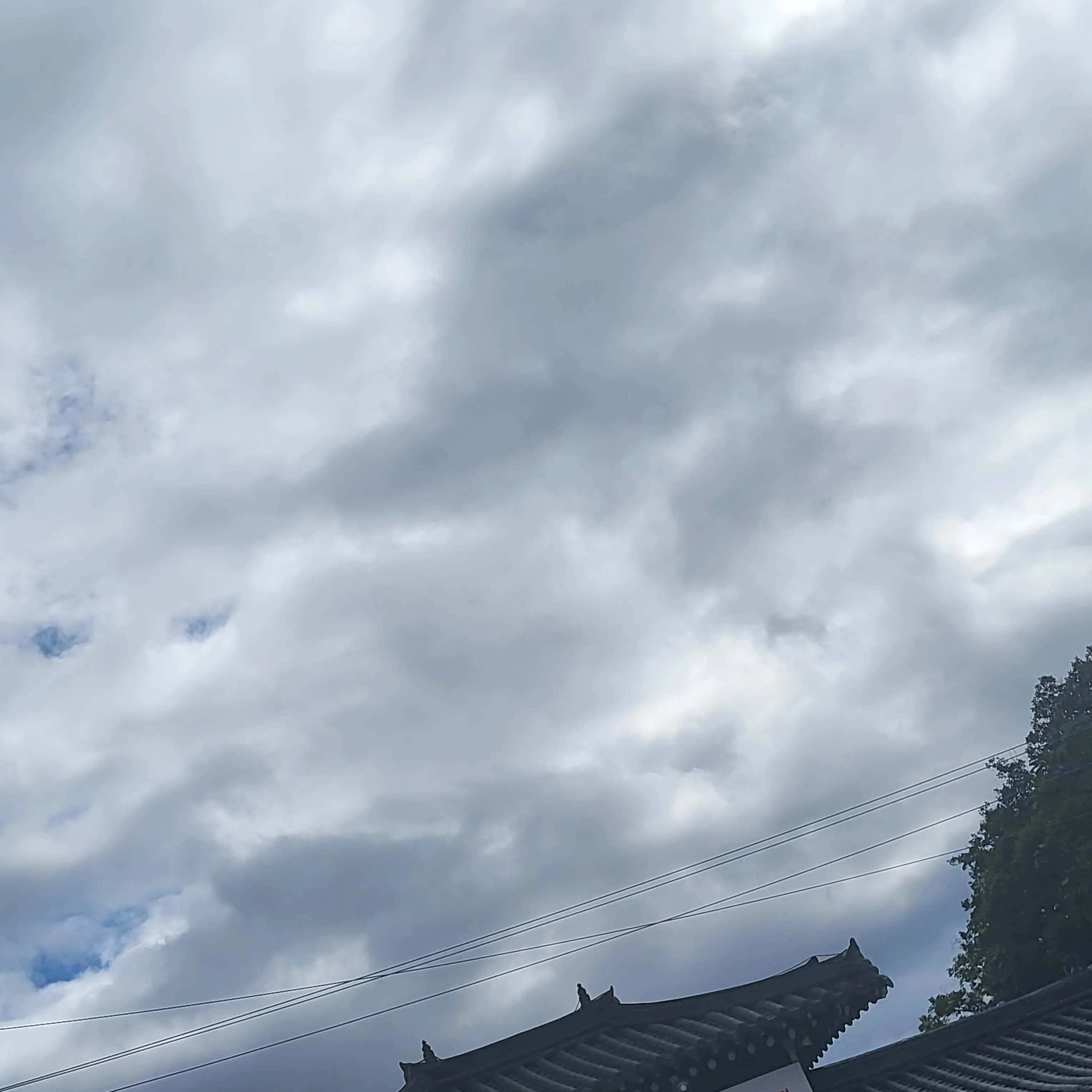 CattyBarb0101의 보이즈플래닛