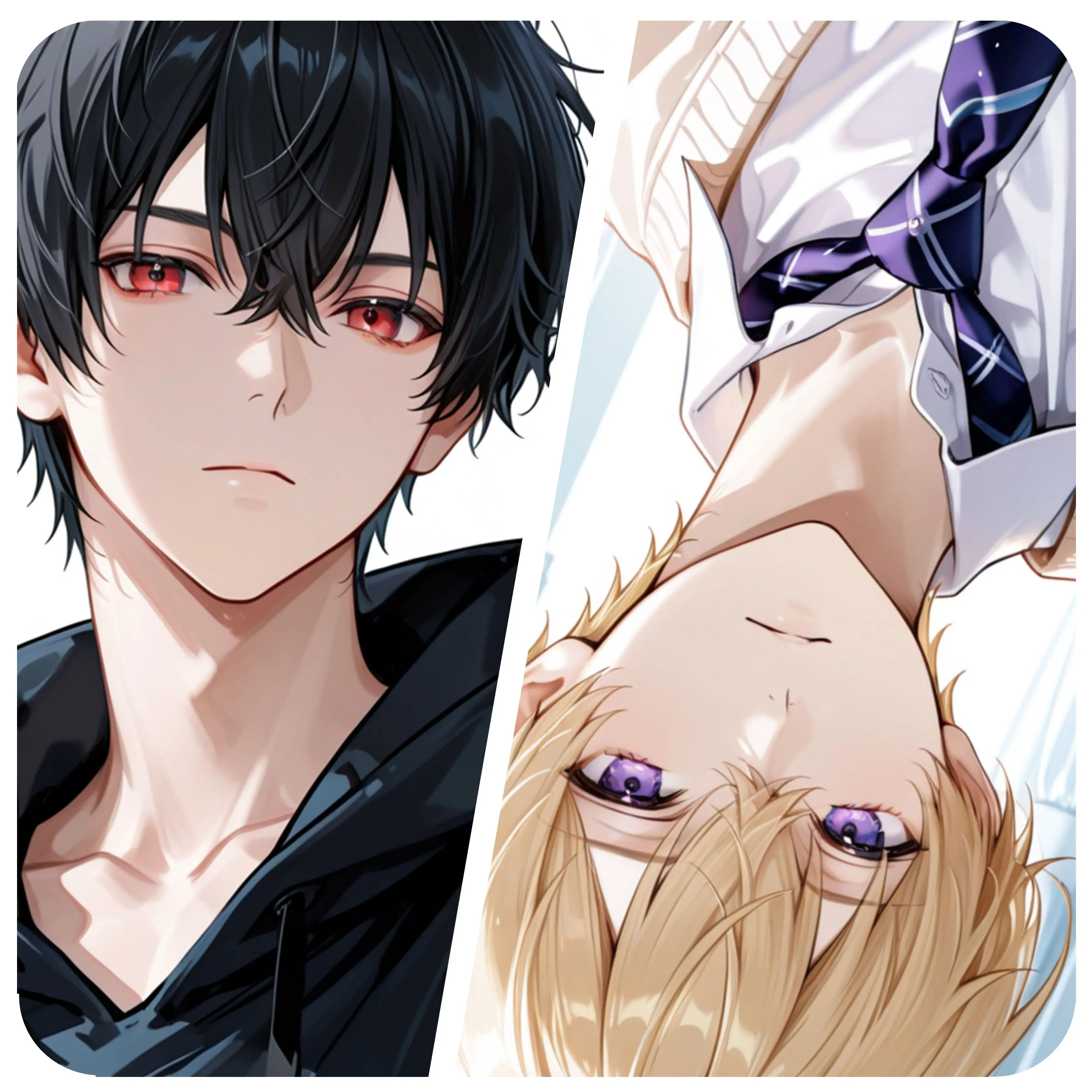 f-nonono의 聖園家の事情