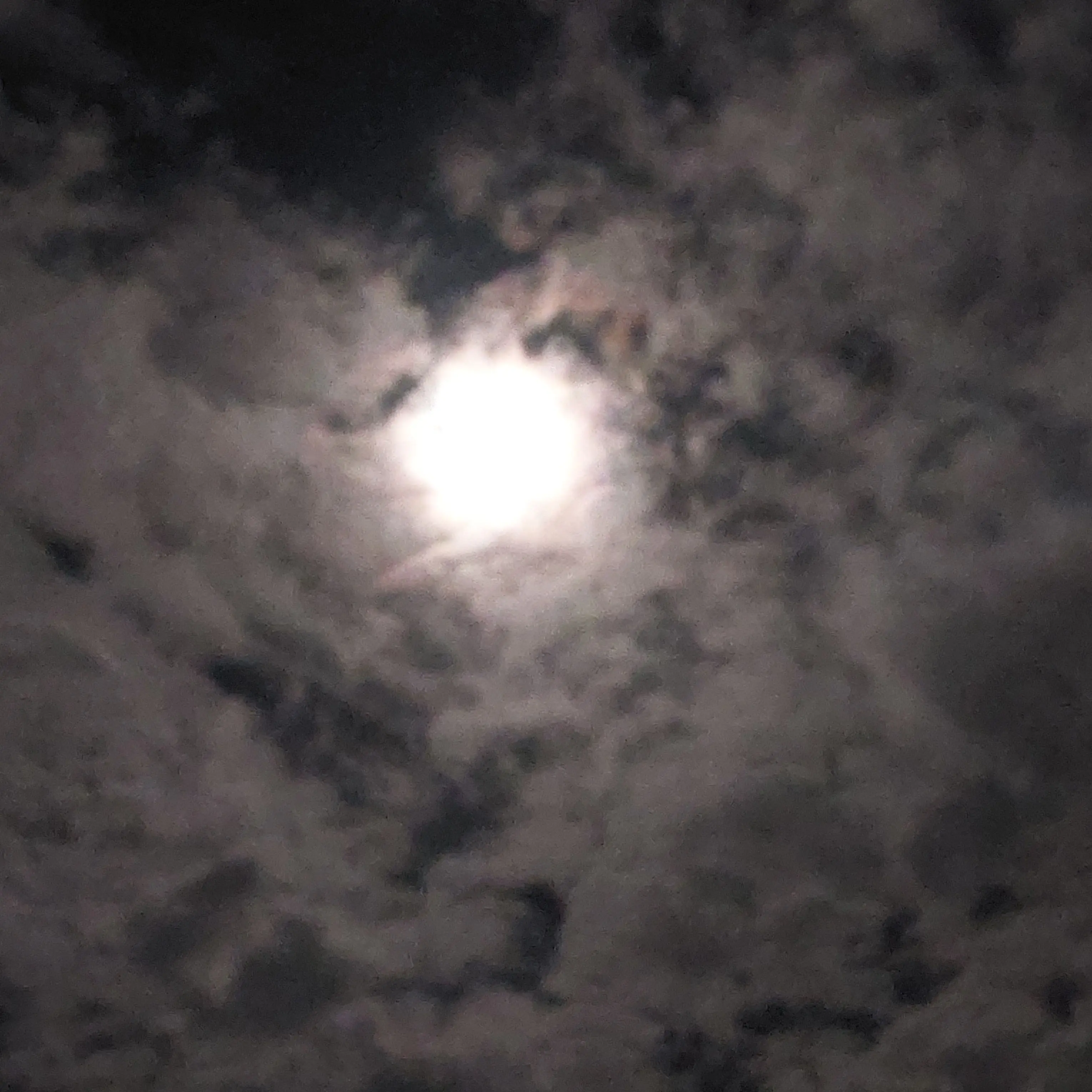 StableStand9613의 그에게서 도망 쳐보기~☆