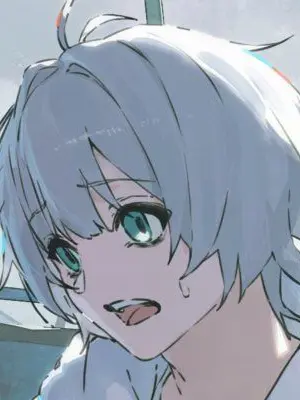 Aile_Nandayo의 メメントリ