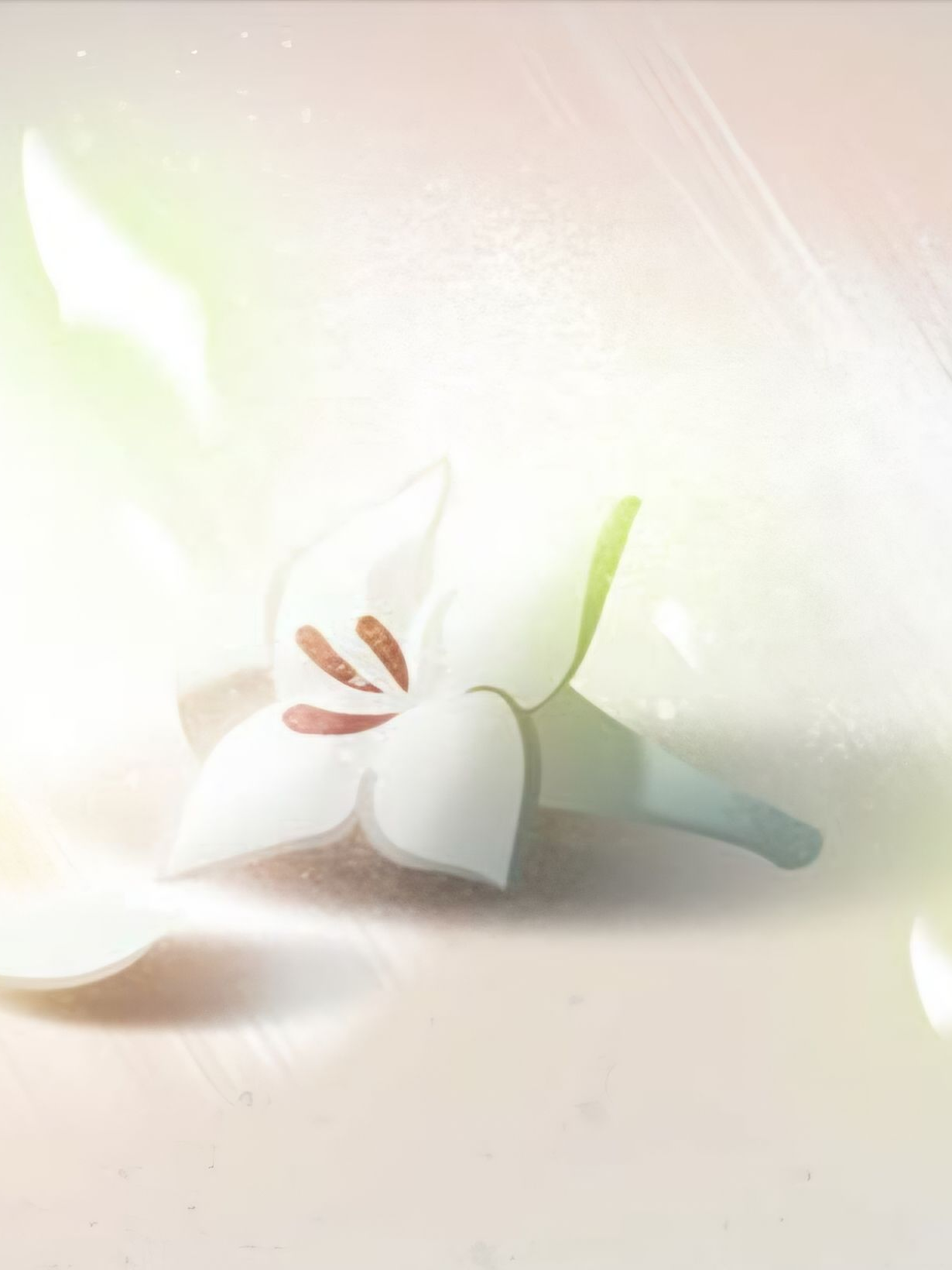 너를 찾을게. 대표 이미지