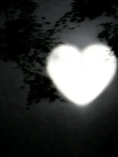 Liver_is-main의 486 -!!!