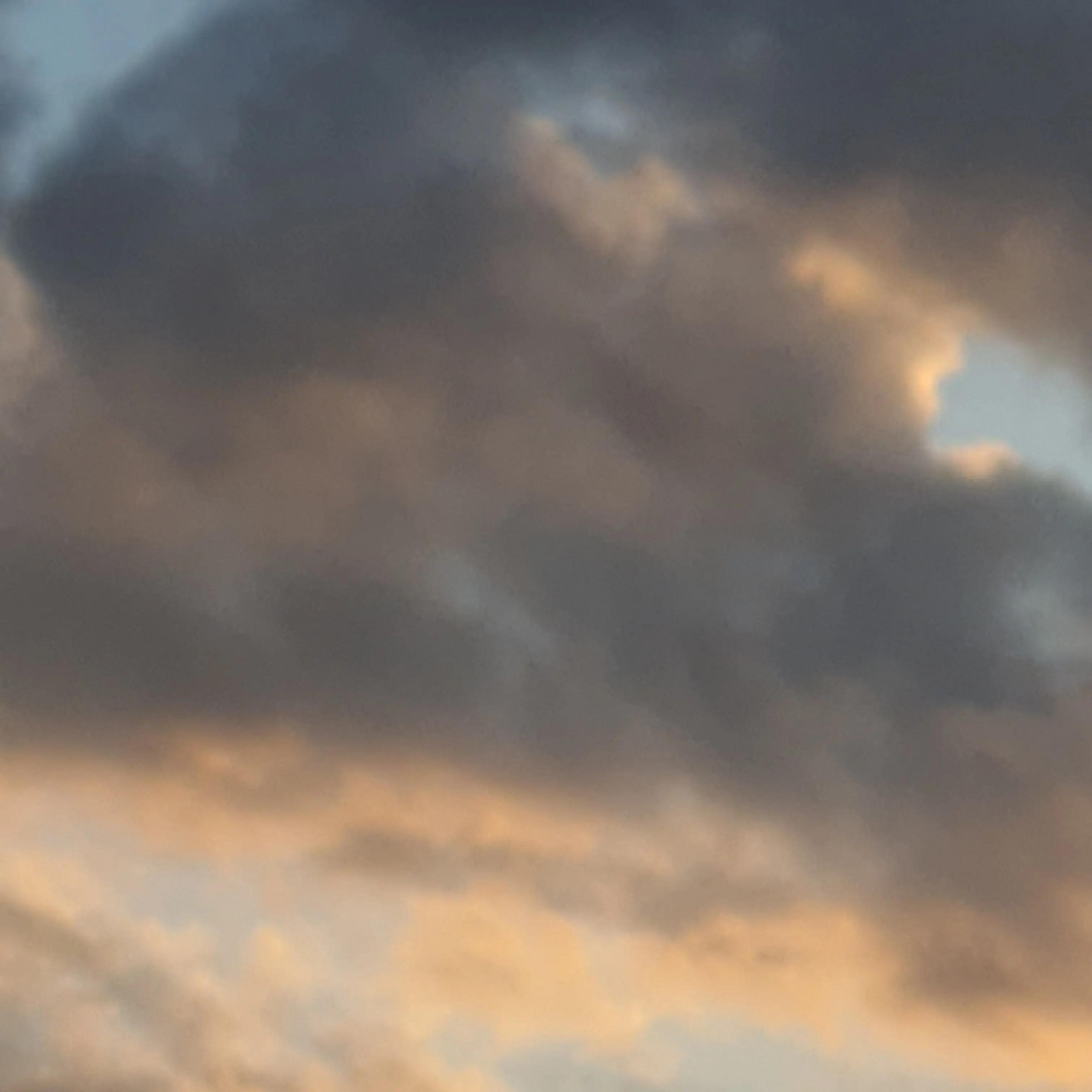 ChubbyCrane2960의 어쩔수밖에 없던 비극