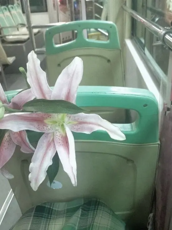 Thepuiet의 Babe, I'm back!