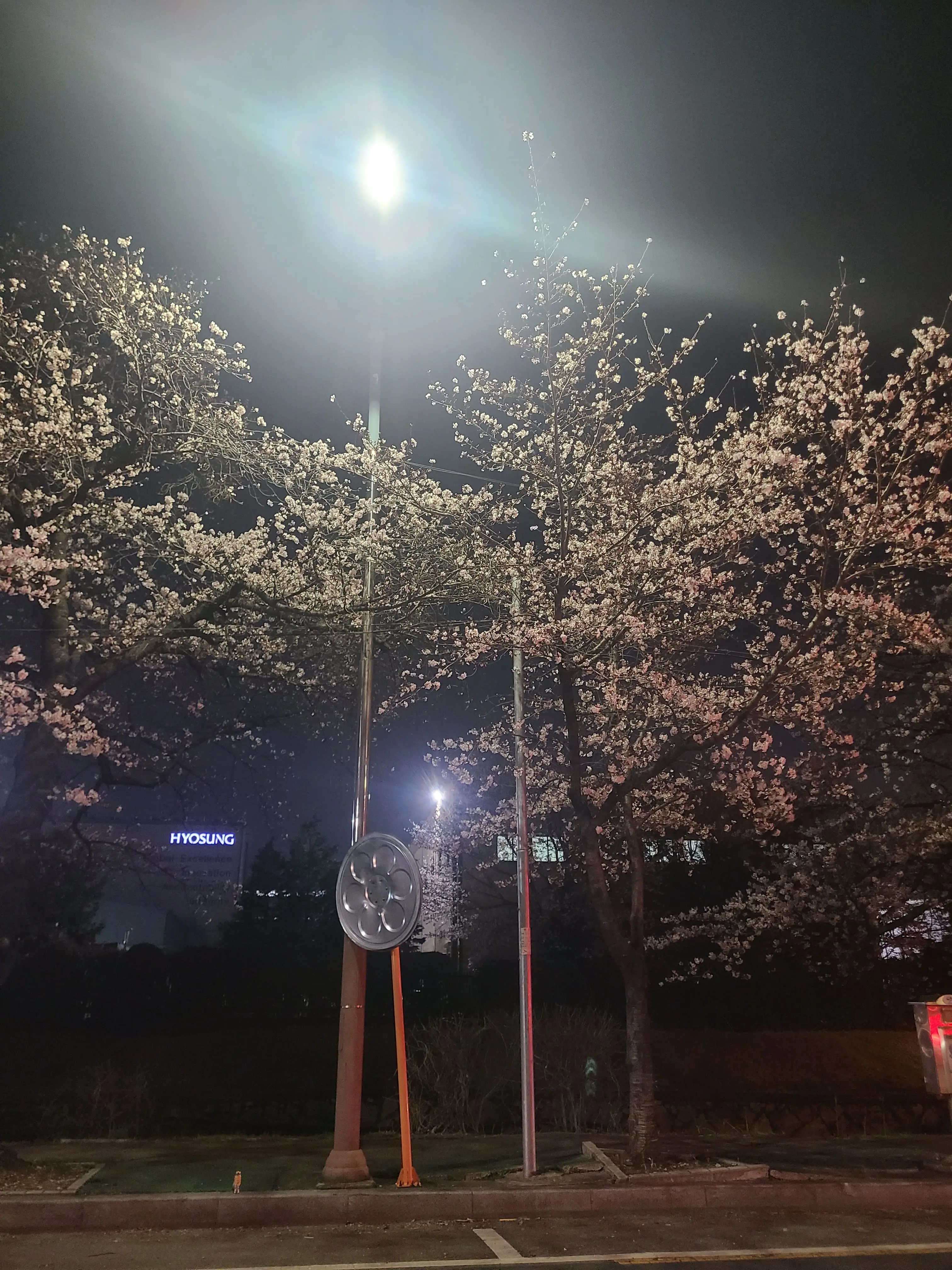 WidePika1344의 대저택과 여우!?