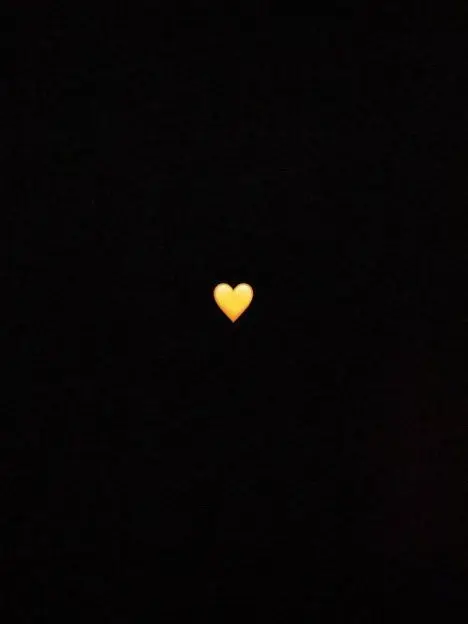 FuzzyLion2965의 유튜버 로판(?)