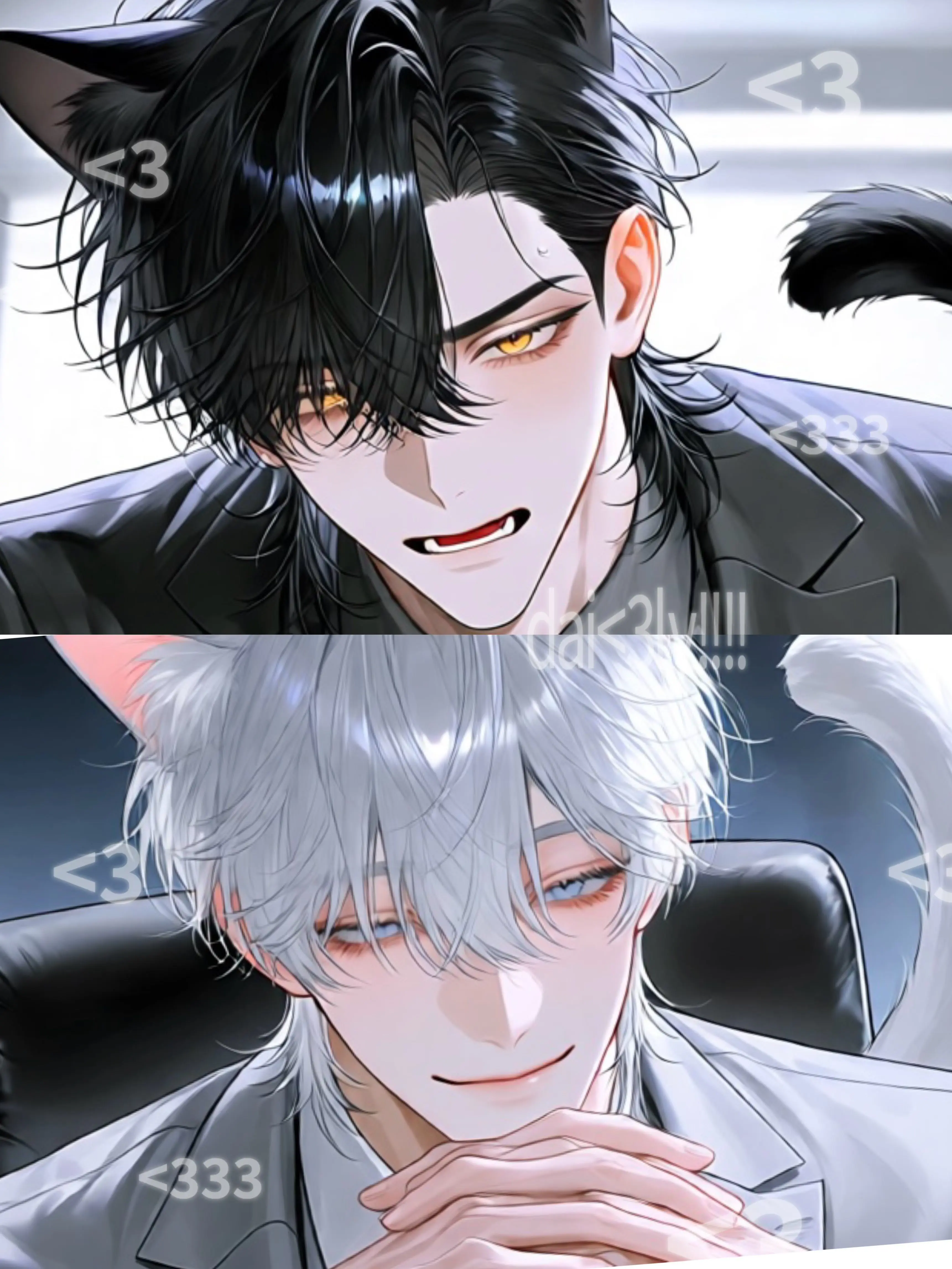 Sayoyoyoyo9512의 🐈3 Cat Beastmen, Like Cats and Dogs🐾