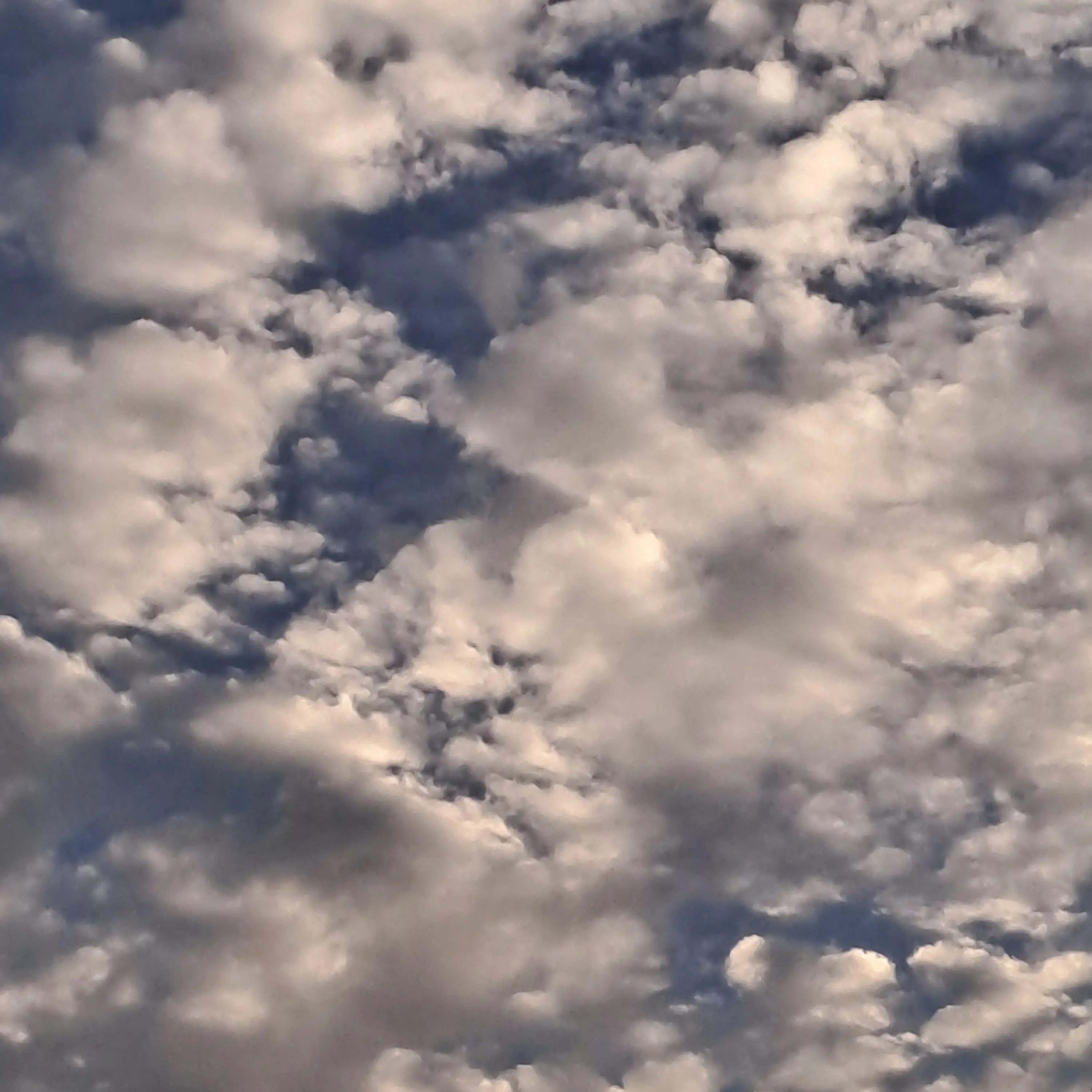 SolemnTakin1896의 ^_^