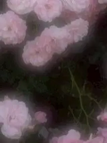 DullRobin0194의 もしもーし 聞こえてる ？ 🌀🌀