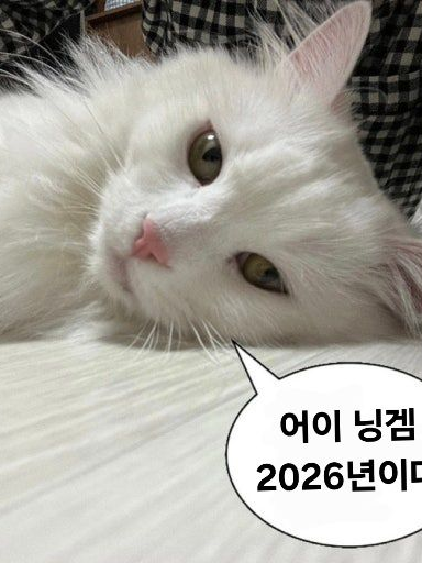 배우 라이벌 대표 이미지