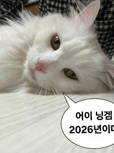 MeekJoke9614의 배우 라이벌