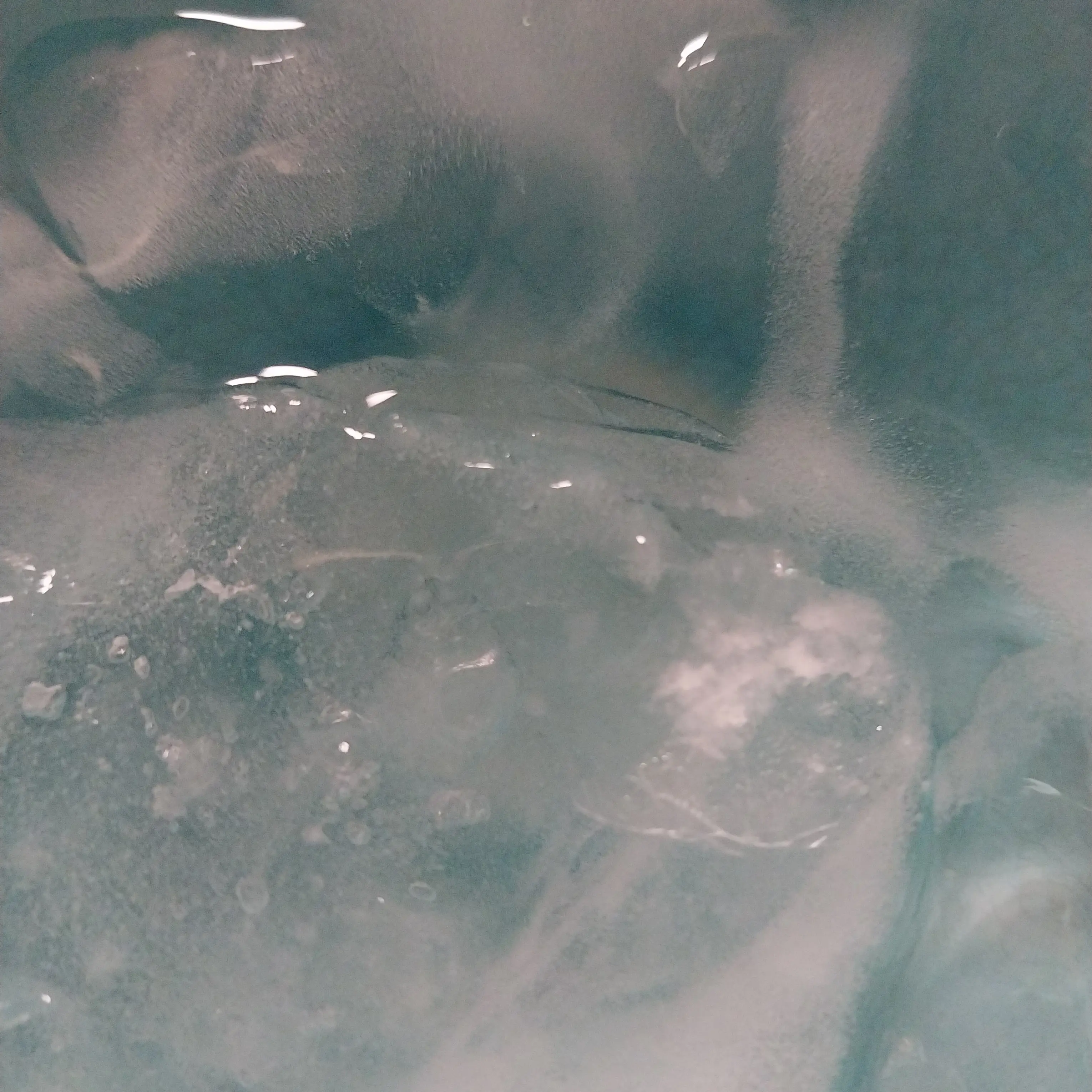 seoyun1408의 {블루 록}  인어.