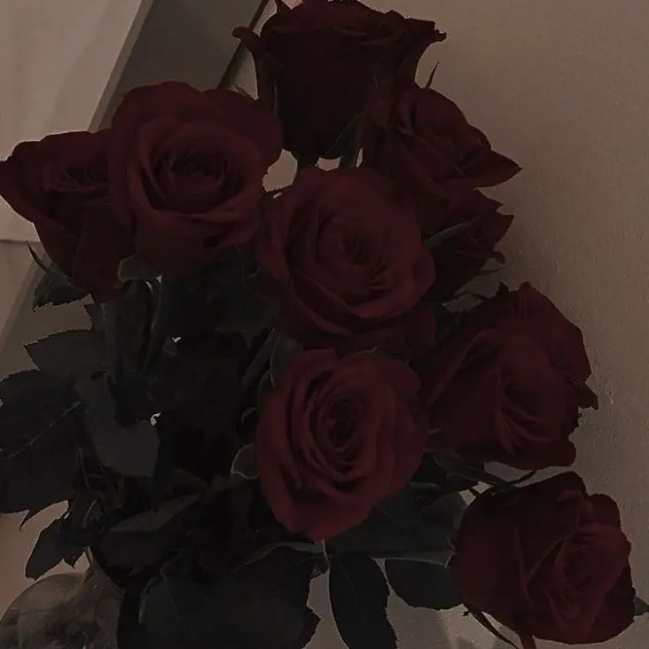 waitforyou0000의 체르노프 이반
