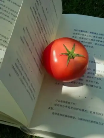 AgileFocus1616의 각별