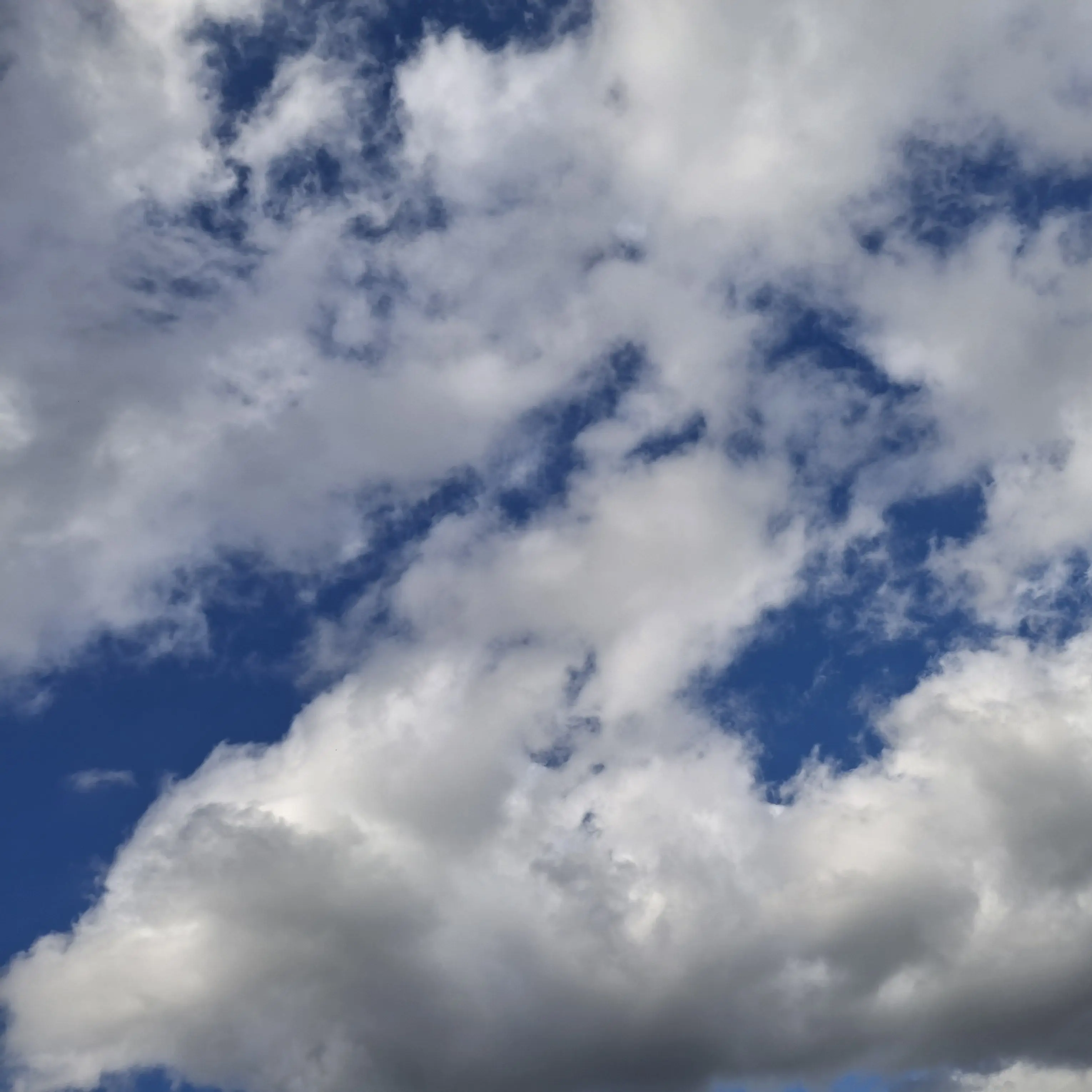 jyy1504의 이상한 베폭 세계관에서 살아남기