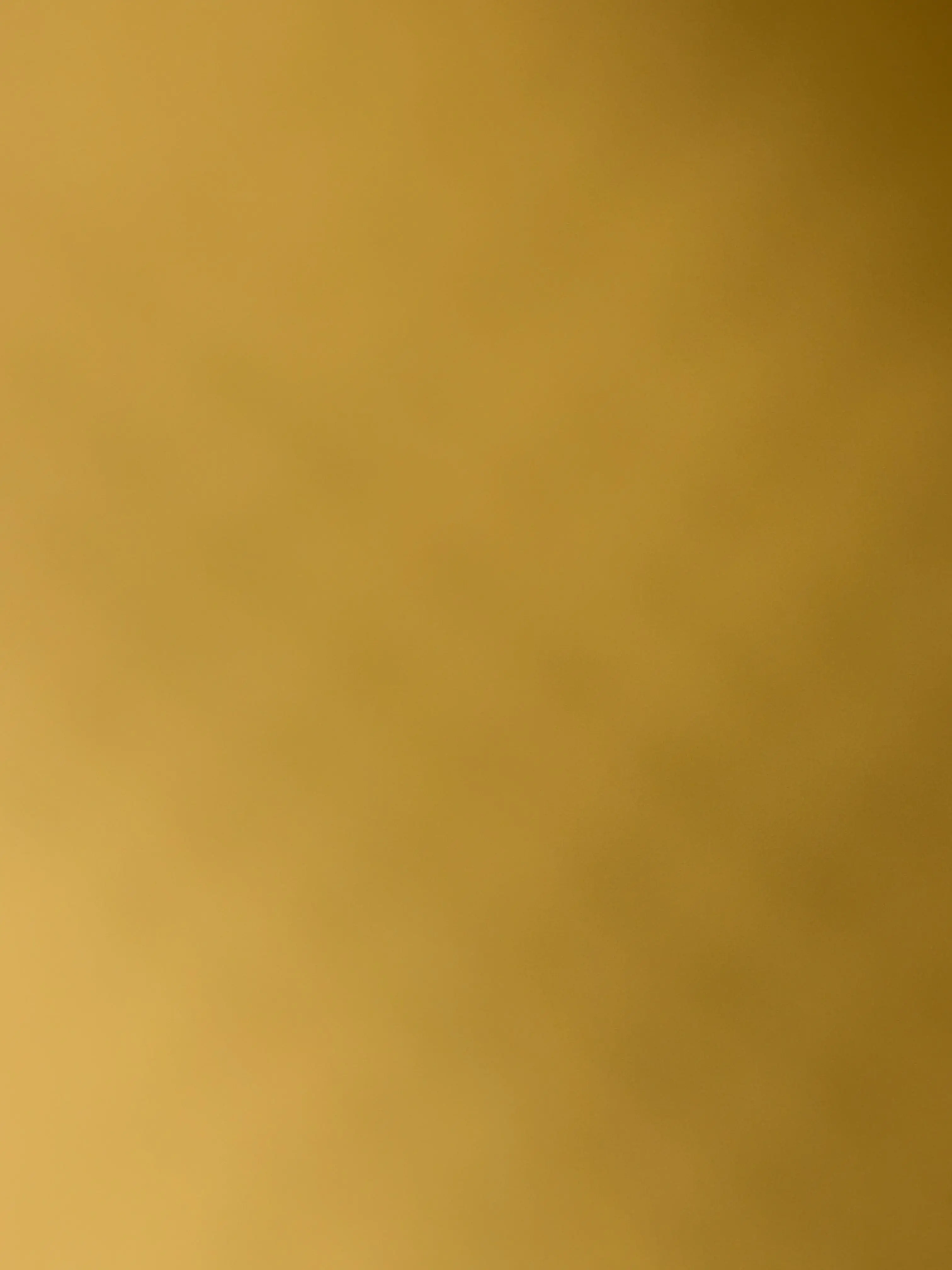 ProneInk7180의 동생이 되어보세요2