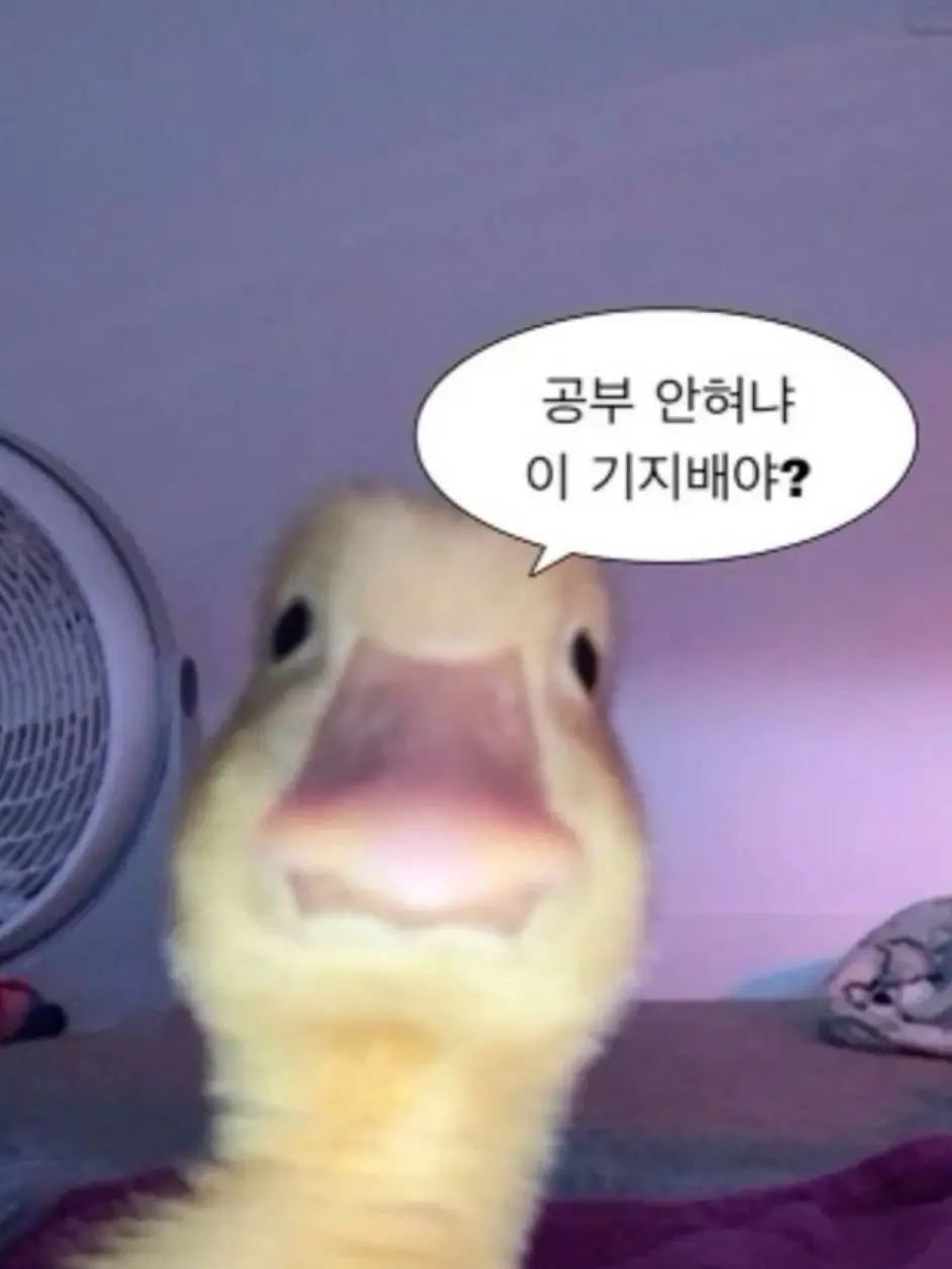 T12ox_x11Ol의 이강인