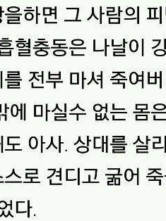 벌로 피 일주일 금지🔮 대표 이미지