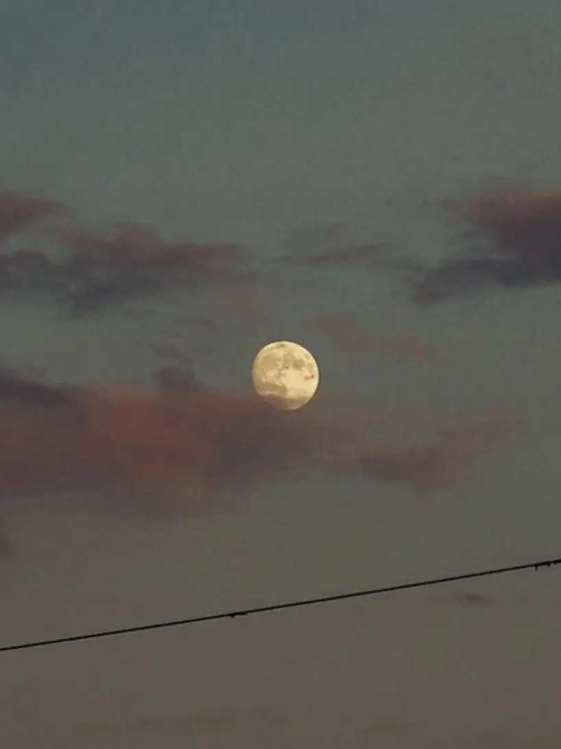 IAN_.의 언젠가는 슬기로울 전공의 생활