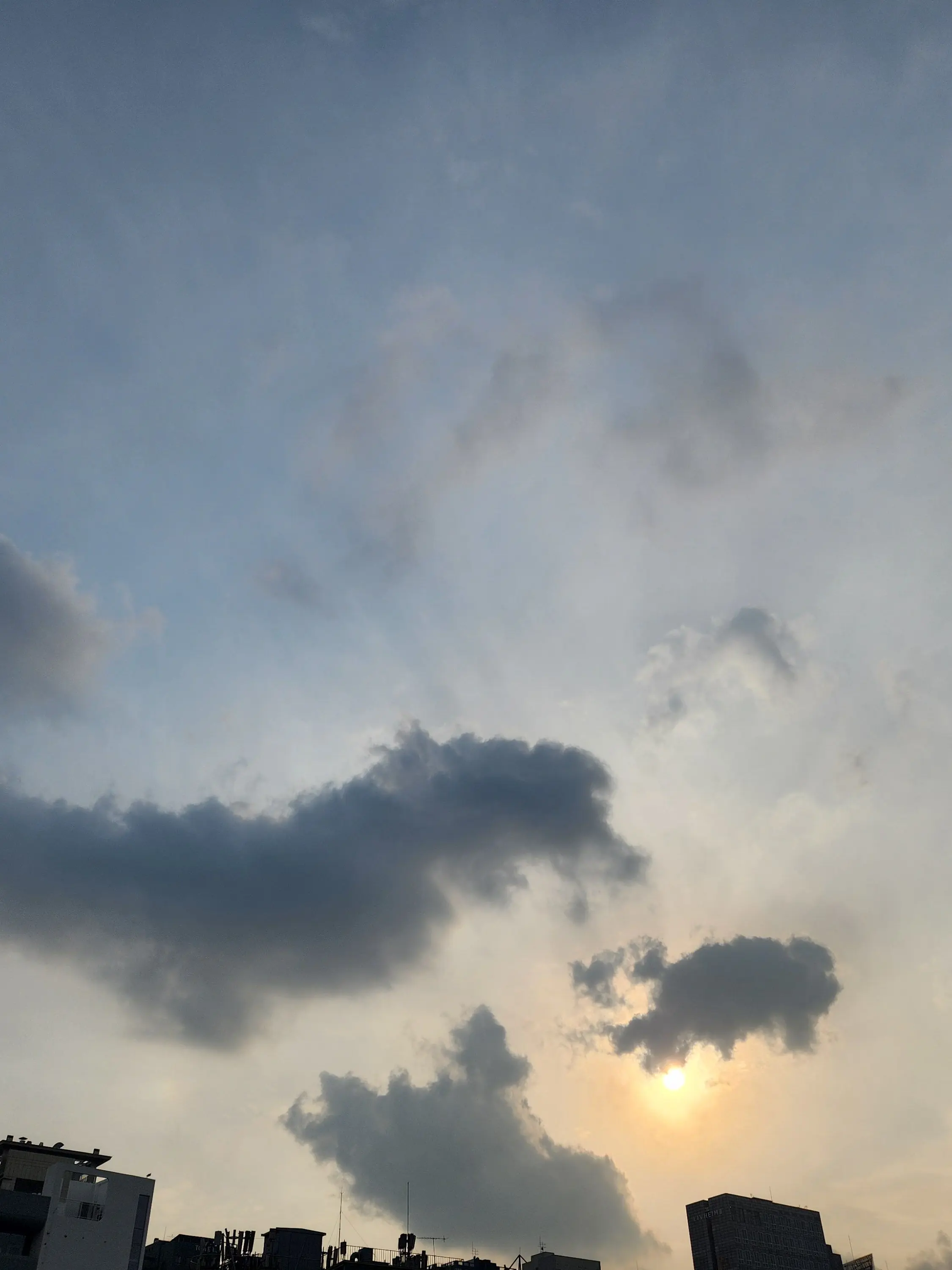 FloralRoot0373의 난 아무에게나 냐옹을 하지 않아!