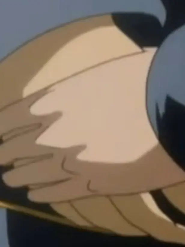 TOMOCHING의 히지오키