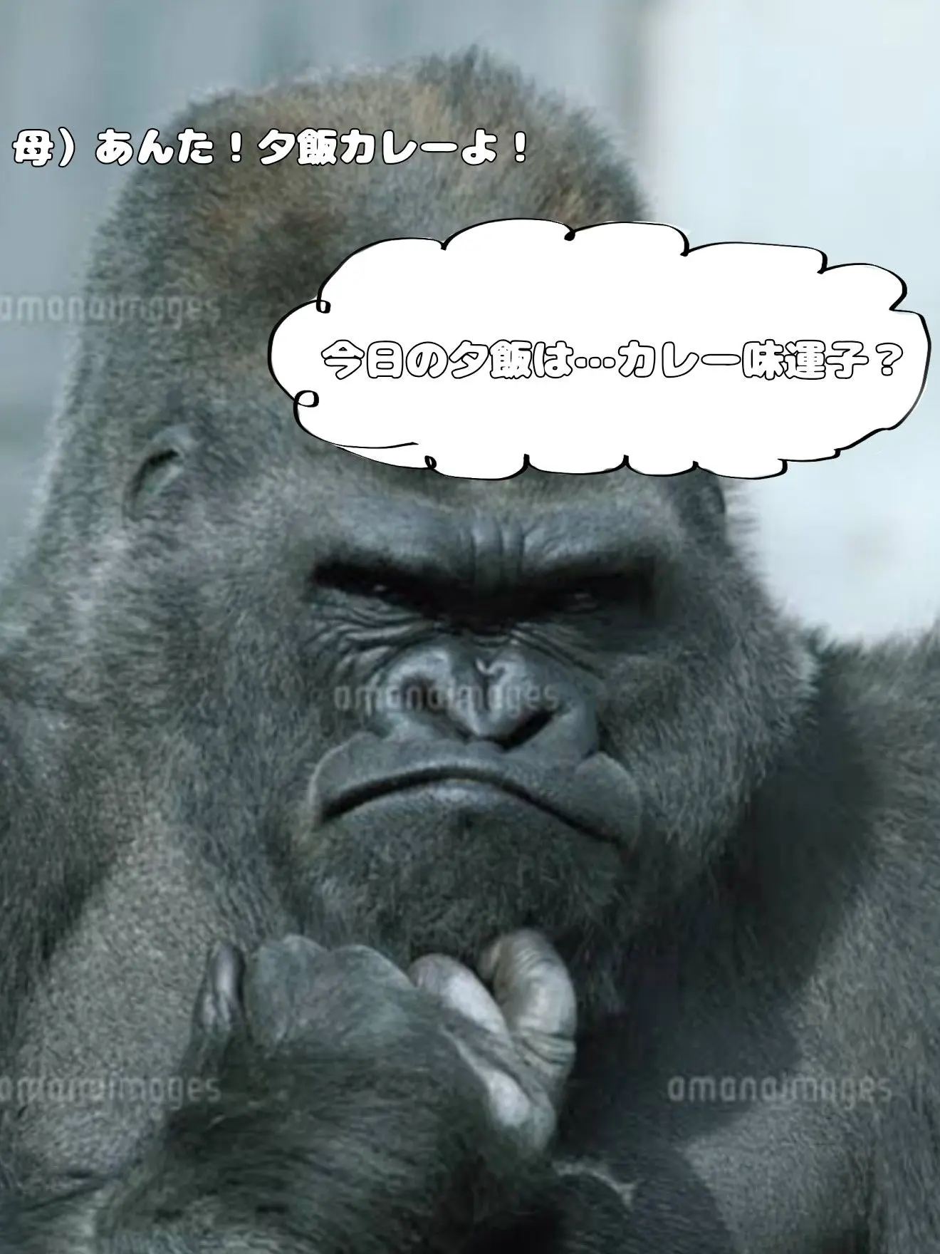 Tamago5의 悪い子は叱られるか縛られようね〜