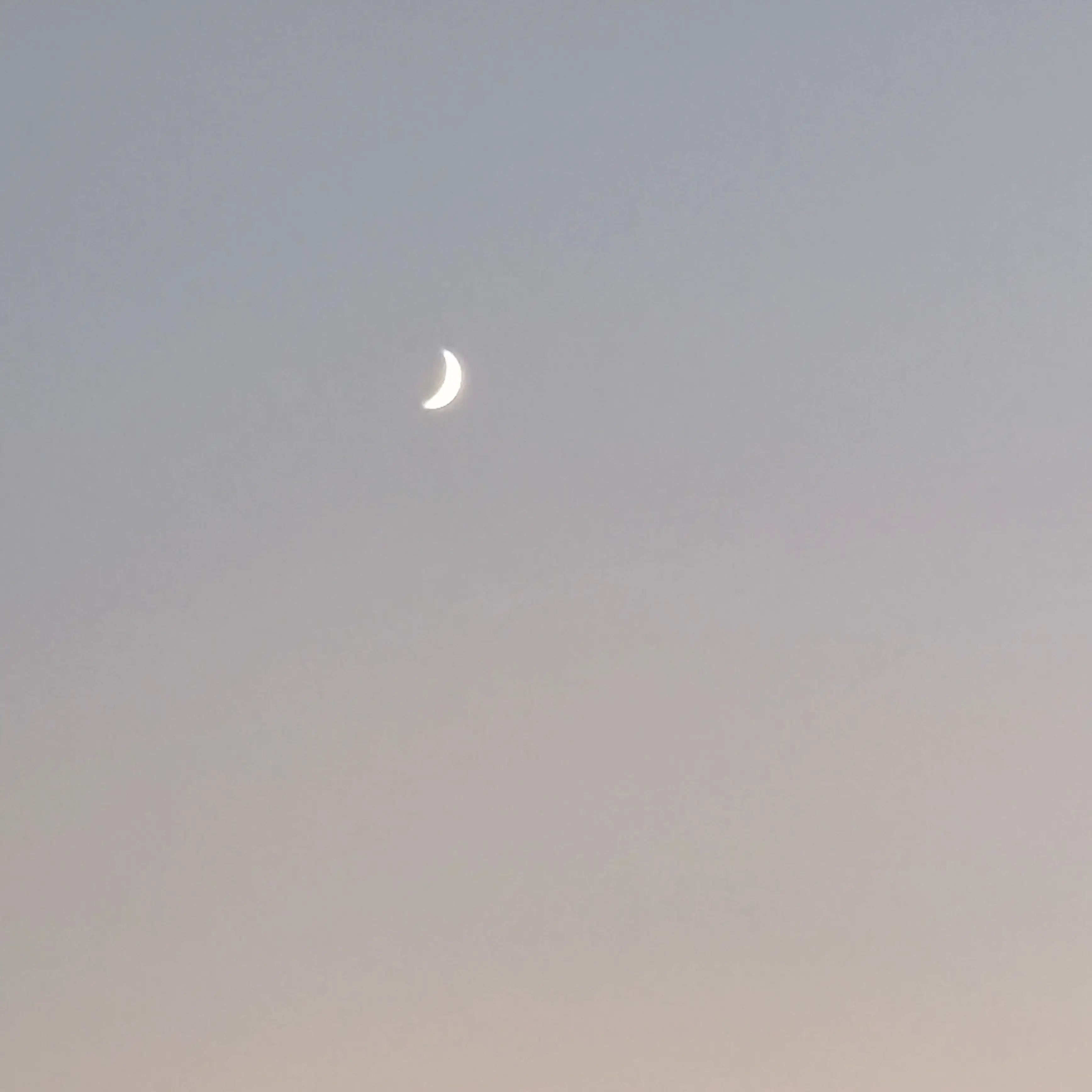 CurvyLife6174의 경호원 신유