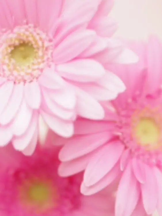 BadSound3196의 起きすぎた距離