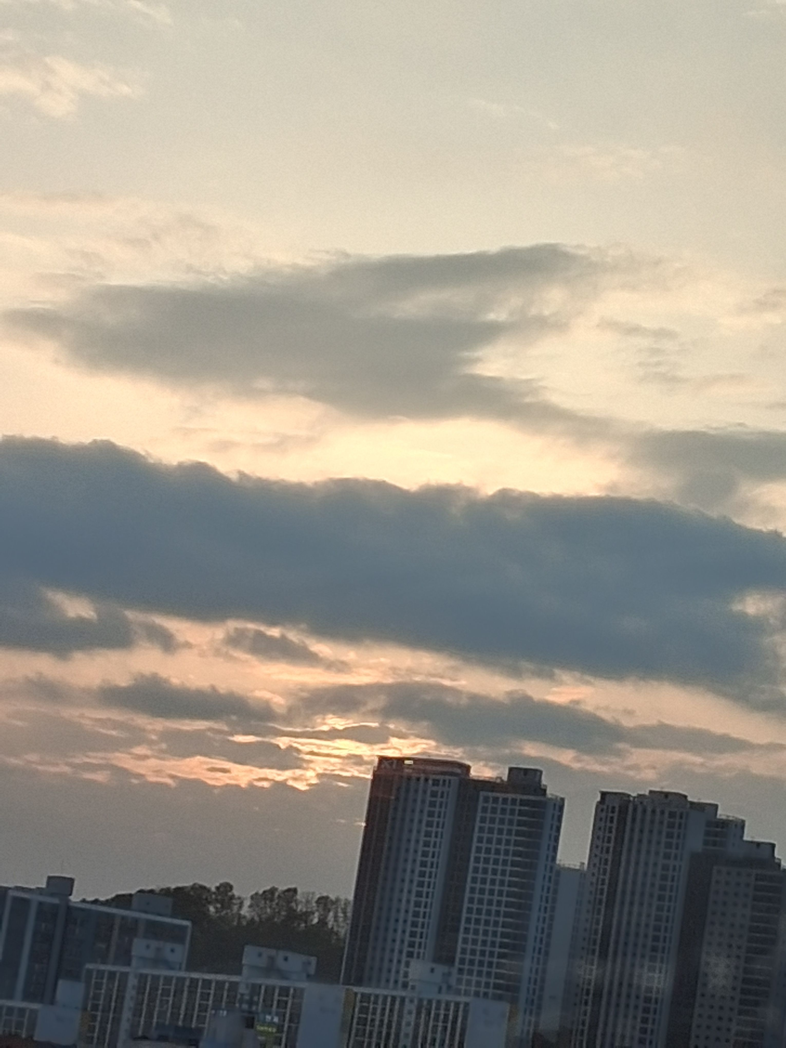 썰그 보육원 대표 이미지