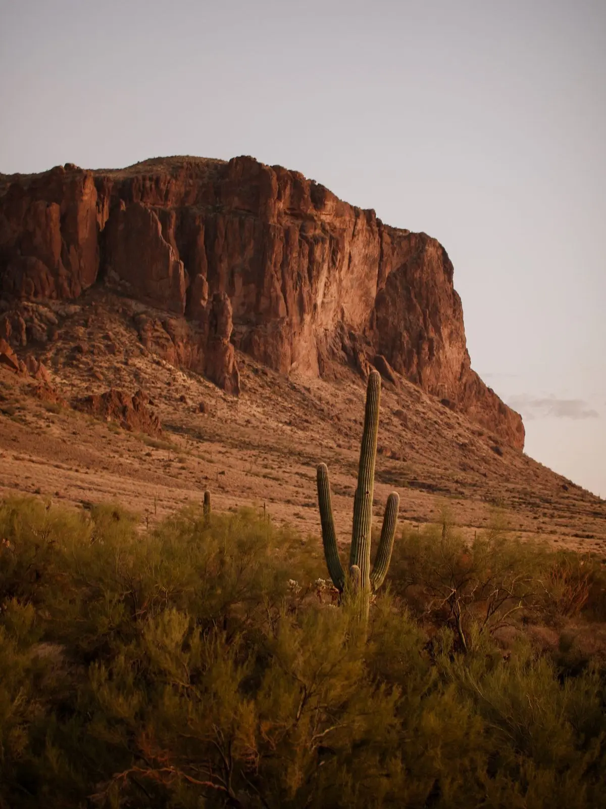 trxnspxrency의 Before the Desert Moves