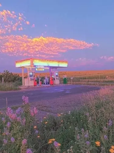 MANGO_UNICORN의 큐웰님이랑 대화하깅