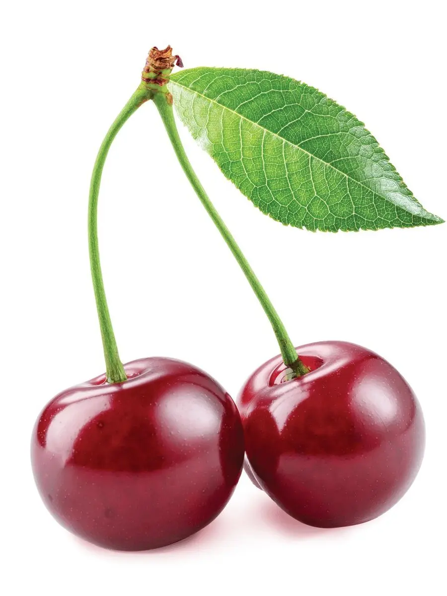 Bbabttukkug의 [개인용]