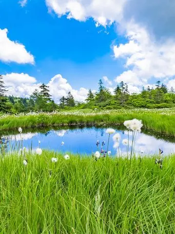 NeatWife9739의 異世界RPG