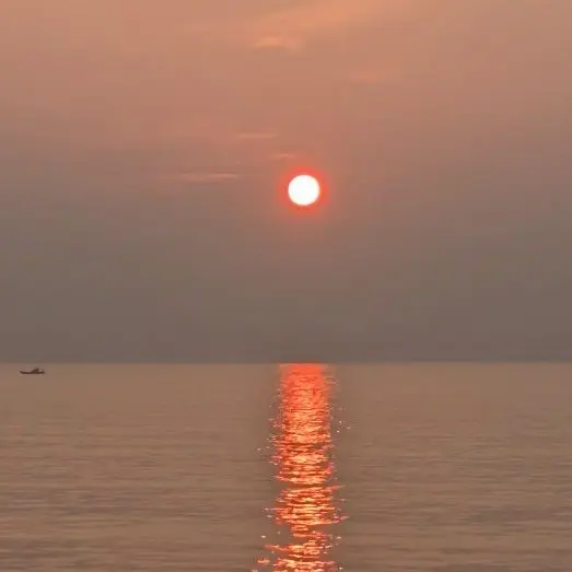 DampWasp9026의 恋の三角関係。修学旅行！