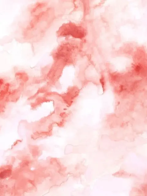 NutmegThrow7127의 「S.S.」