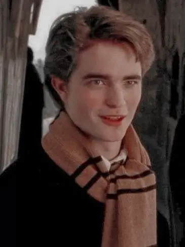 Wackywaldo의 Cedric Diggory