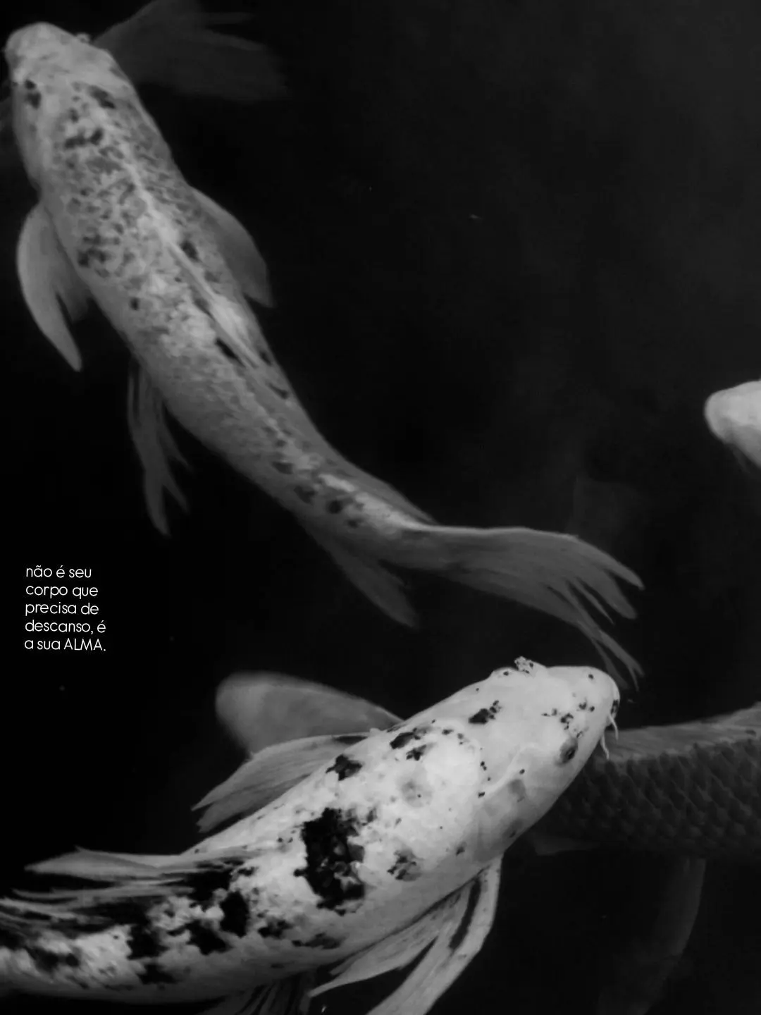 TheLastofUs의 白鬼