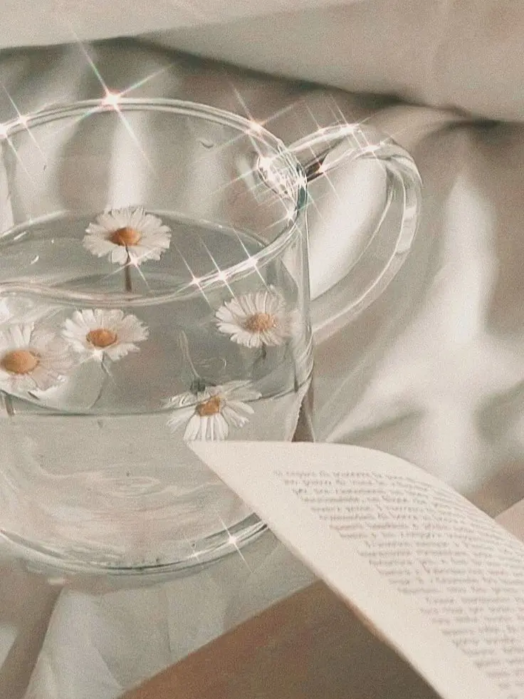 SilverVomit1312의 深夜組と配信