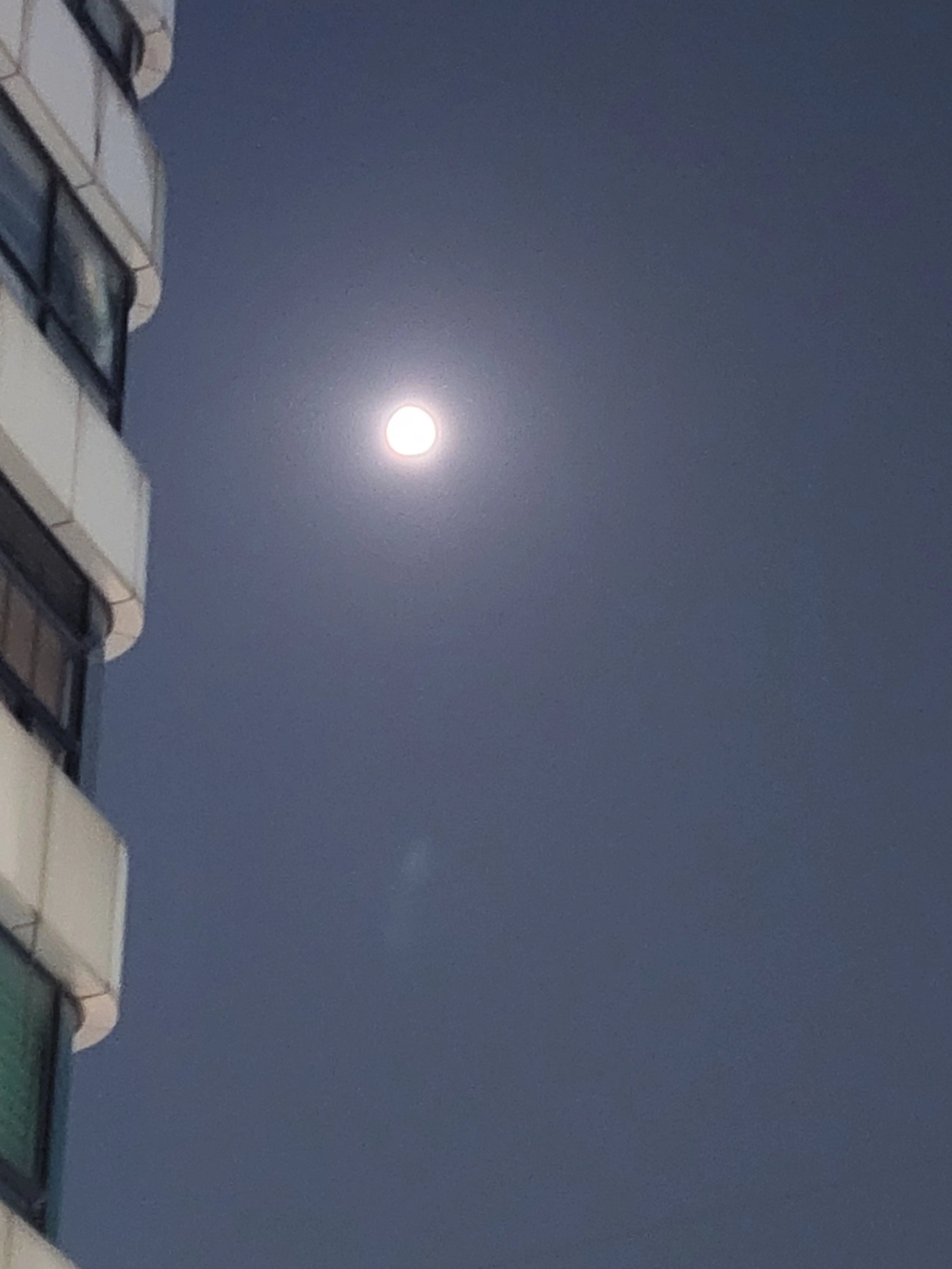 NativePen4263의 최민가랑 최민이가 뜨못방에 같혔다!?