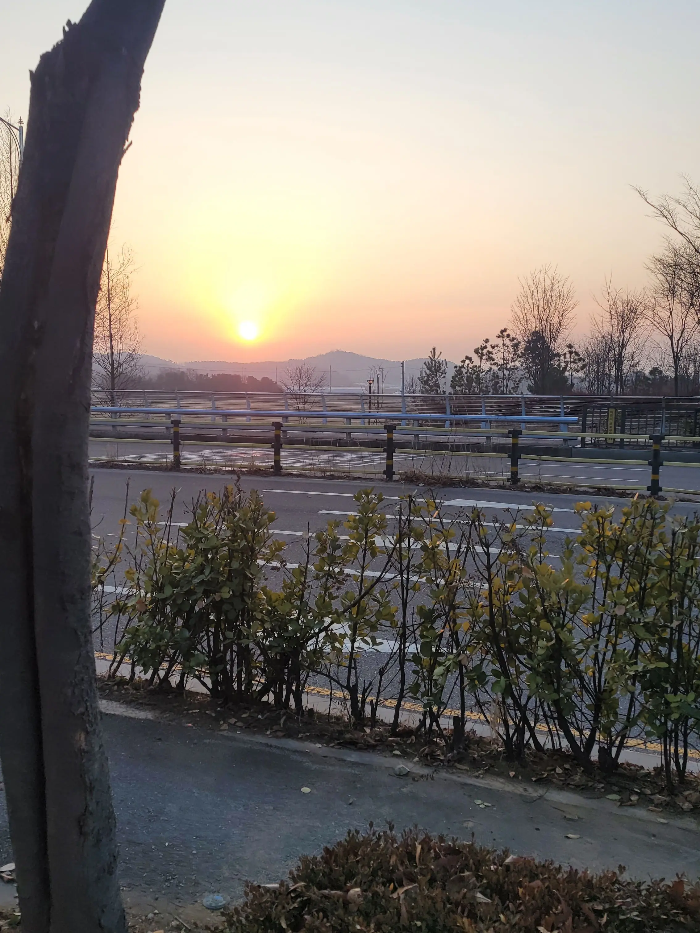 RoastBar8627의 미수반2 실패.